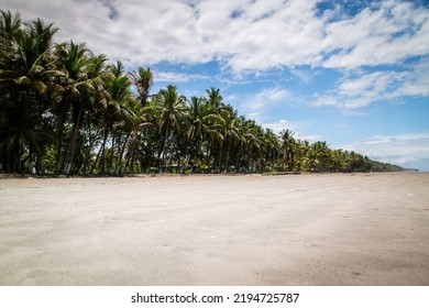 Empty Large Tropical Beach Expanse Stock Photo 2194725787 | Shutterstock