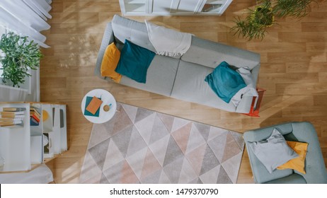 Empty Living Room with Nobody in it. Modern Interior with Carpet, Grey Sofa with Blue and Yellow Pillows, Chair, Coffee Table, Shelf with Books, Green Plants and Wooden Floor. Top View.