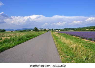 Empty Local Road Along Rural Field. Plateau Of Sault, Provence, France