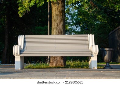 Empty Lonely Bench In The City Park, No People. Wooden Chair In The Garden On Tree Background, Long Wooden Empty Bench On Green Grass Lawn.