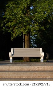 Empty Lonely Bench In The City Park, No People. Wooden Chair In The Garden On Tree Background, Long Wooden Empty Bench On Green Grass Lawn.