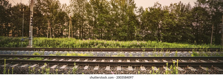 Empty long rail road against green trees side view at sunset in summer day
