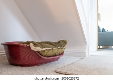 Empty Makeshift Dog Basket Seen In A Stairwell In A Modern House. The Distance Shows A Living Room Area.