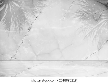 Empty Marble White Gray Wall With Leaf Plant Shadow And Desk