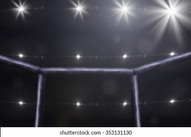 Empty Mma Arena Side View Under Lights. Blurred.