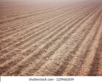 Empty Muddy Field Of Red Soil