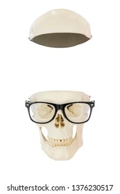 Empty nerd skull without brain wearing eyeglasses. Top of skull separated from lower part. Isolated on white background