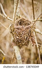 Empty Nest
