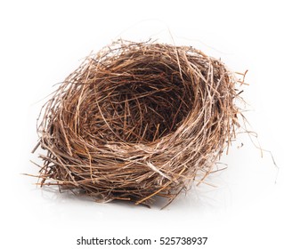 Empty nest isolated on white background