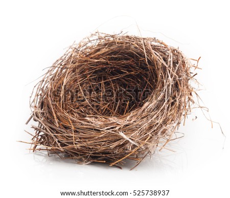 Empty nest isolated on white background