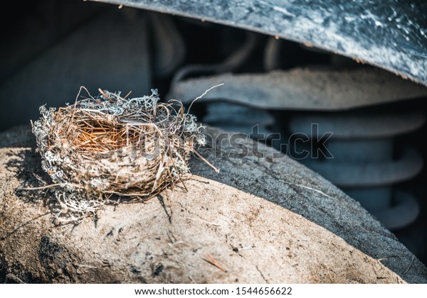 Empty nest made by birds from grass,\
branches and pine needles on the wheel of\
car