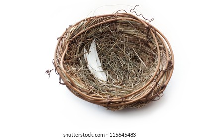 Empty Nest on white background