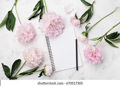 Empty Notebook For Wedding Planning, Pencil And Pink Peony Flowers On White Stone Table Top View In Flat Lay Style. Woman Working Desk.