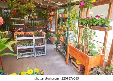 Empty Nursery Flower Shop With Lots Of Plants And Flowers On Sale