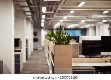 Empty office, interior and design for creative business, co working space and computer of agency furniture. Building, plants and minimal workspace for designer startup, digital tech or cubicle layout - Powered by Shutterstock