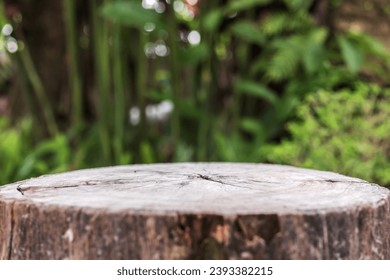 Empty old tree stump table top with blur green tropical garden background for product display