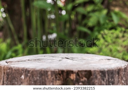 Empty old tree stump table top with blur green tropical garden background for product display