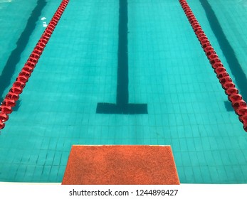 Empty Olympic Swimming Pool. Shot With Smartphone