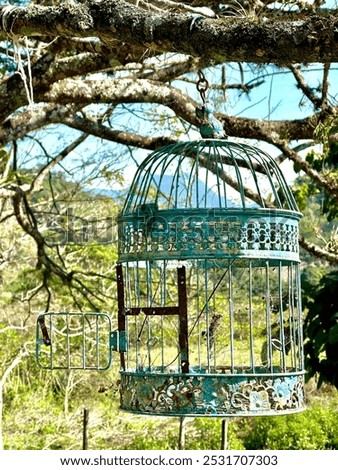 Empty open bird cage hanging on a tree