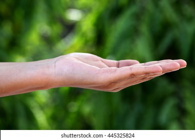 Empty open hand with green background
