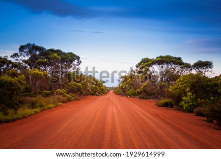 Empty open outback road in Western Australia. Straight single lane dirt road stretching into the distance. Desert scene, Endless travel and adventure.
