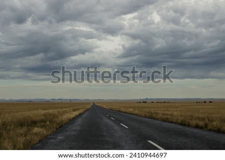 Empty open road disappearing into the distance of the vast expanse of the Free State in South Africa, with ominous clouds gathering overhead.