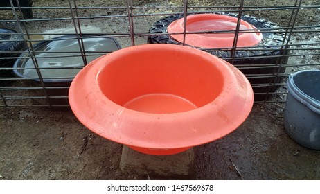 Empty Orange Plastic Water Pan In Muddy Pig Pen