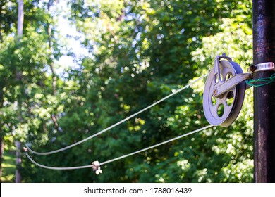 Empty Outdoor Clothesline. Trees Background