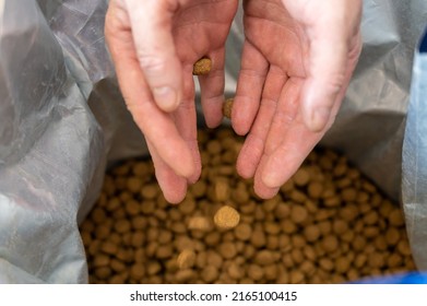 Empty Palms Over A Bag Of Dog Food. Pellets Of Dog Food Spill Out Of The Man's Hands. The Hands Of A Middle-aged Man. The Food Falls Into An Open Bag. Blurred Motion. Close-up.  Selective Focus.