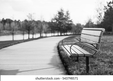 Empty Park Bench 