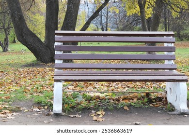 Empty Park Bench in Autumn Woodland Setting with Falling Leaves and Trees - Powered by Shutterstock