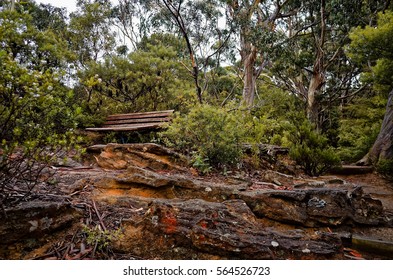 An Empty Park Bench In A By A Walking Trail In A Forest In The Australian Bush