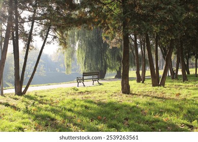 An empty park bench in the early morning. - Powered by Shutterstock