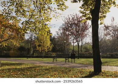 An empty park bench in the early morning. - Powered by Shutterstock