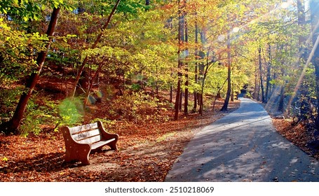 An Empty Park Bench on a Nature Trail Awaits Autumn Visitors - Powered by Shutterstock