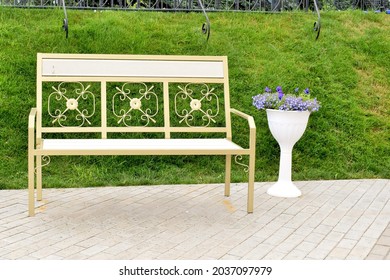 Empty Park Bench In Spring Morning