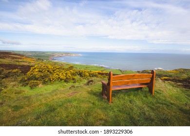 An empty park bench taking in cliffs and seaside landscape views at Ravenscar on the North Yorkshire Coast, part of the civil parish Staintondale in North York Moors National Park, England.