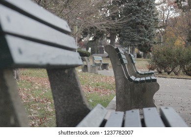 Empty park benches in the fall