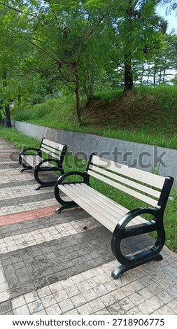 Empty park benches on a patterned stone pedestrian pathway in a city park at daytime.