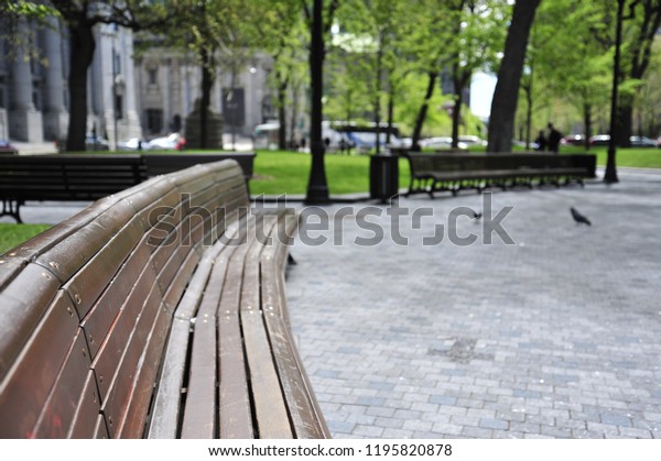 Empty Park Benches Place Du Canada Stock Photo Edit Now 1195820878