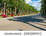 Empty park in Kharkiv city, Ukraine. A wide empty alley in the central park with benches and deciduous trees. Summer sunny day