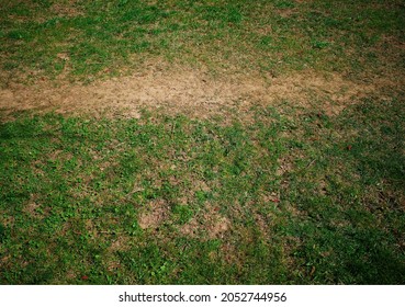 Empty Park Path Nature Background