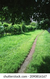 Empty Park Path Nature Background