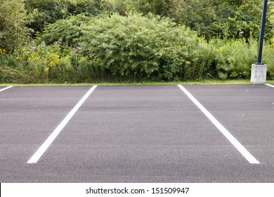 An empty parking spot with vegetation and shrubbery.