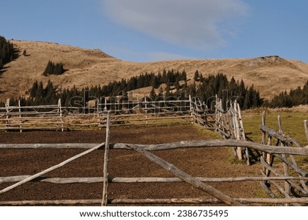 Empty pasture in the mountains. The fenced enclosure stands empty, ready to welcome a flock of sheep to graze. A farm gate opens onto a vast moorland pasture, where a flock of contented sheep grazes.