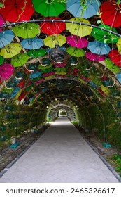 An empty path among the flowers