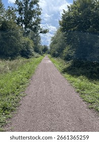 empty path in forest with clouds