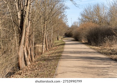 Empty path lined with bare trees. Sunlight filters through leafless branches. Dry leaves scatter the ground. Trees stand tall on either side. Clear blue sky stretches above
