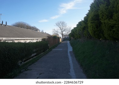 Empty path on a bright day