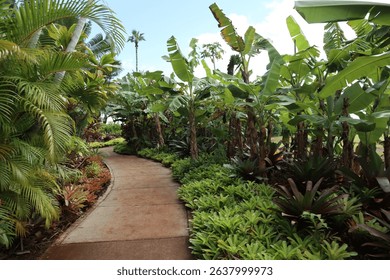 an empty path through a beautiful jungle garden in Hawaii
